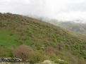 گزارش تصویری از فصل پاییز در جنگل ابر شاهرود